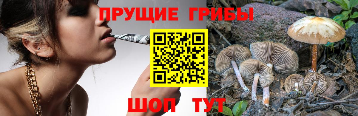 Галлюциногенные грибы мицелий Усинск