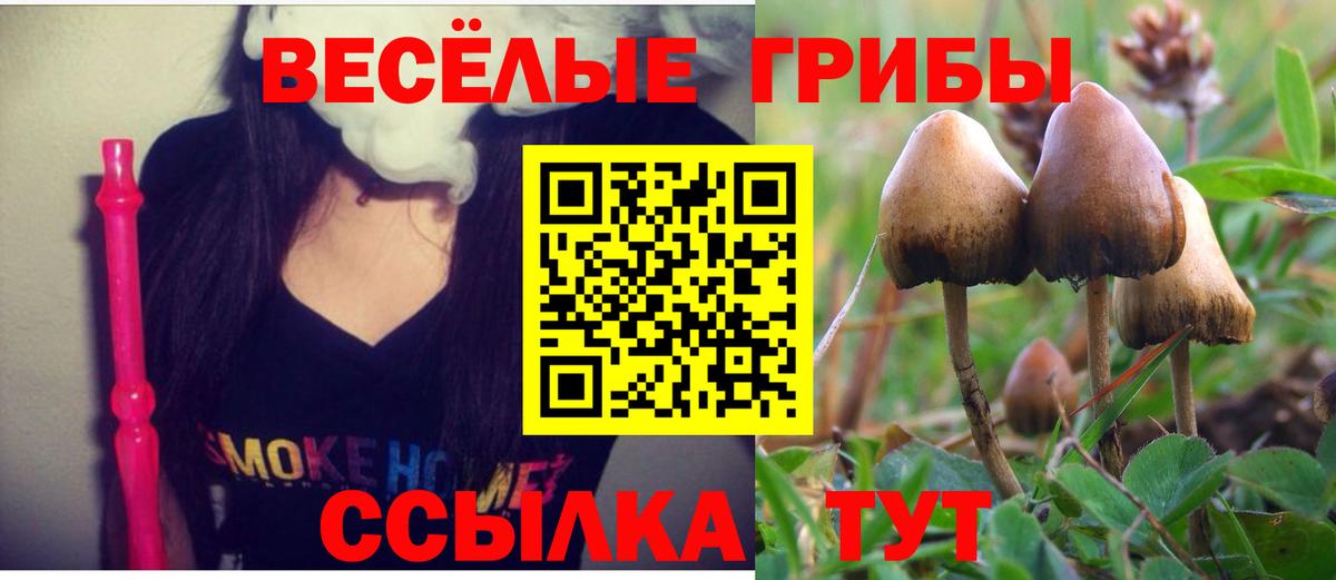 Псилоцибиновые грибы MAGIC MUSHROOMS  Вход с VPN  где найти наркотики  Усинск  Галлюциногенные грибы Psilocybe 